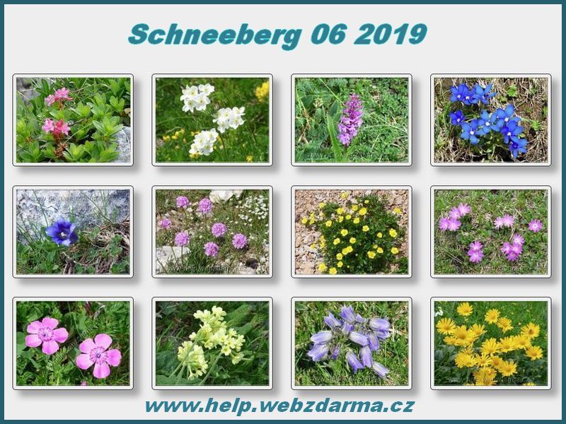 Schneeberg 2019c.jpg